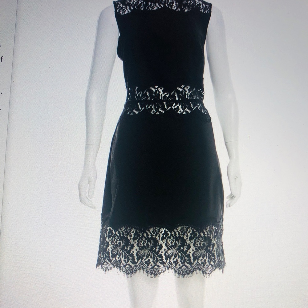 Lover lace-accented sheath dress